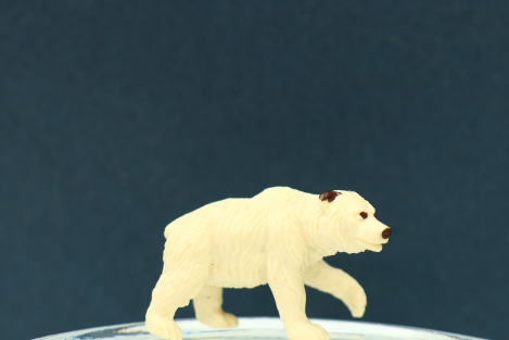 55 MicroTiere im Stoffbeutel